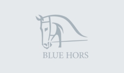 Blue Hors